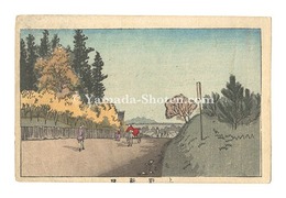 東京真画名所図解　上野新阪　True Pictures of Famous Places in Tokyo / Shinzaka Hill, Ueno