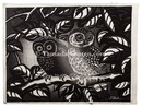 二匹のふくろお　Two Owls