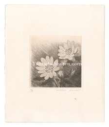 ふくじゅそう　Fukujuso Plant