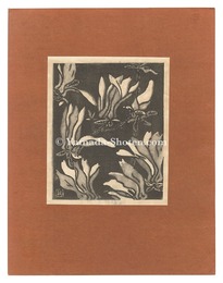 木蓮　Magnolia