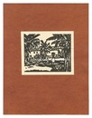 サイパン　Saipan