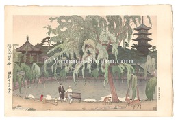 猿沢池畔の柳　Willow Tree at Sarusawa Pond