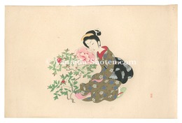 深見草　Peony