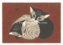猫　Cats