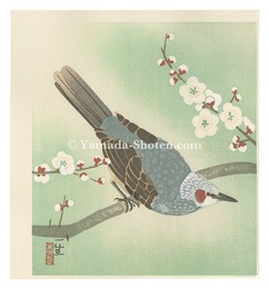 花鳥画　Bird and Flower