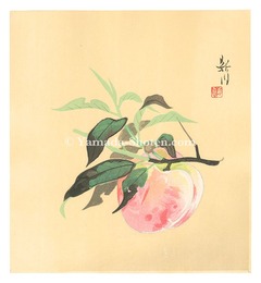 桃（仮題）　Peach (tentative title)
