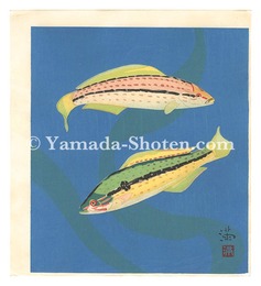 ベラ（仮題）　Wrasse (tentative title)