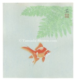 金魚（仮題）　Goldfish (tentative title)