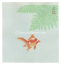 金魚（仮題）　Goldfish (tentative title)