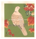花鳥画　Bird and Flower