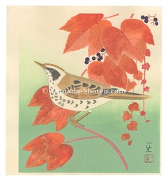花鳥画　Bird and Flower