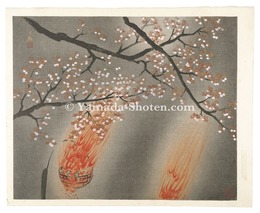 夜桜　Night Cherry Blossoms