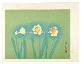 水仙　Daffodil