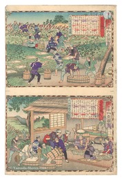 大日本物産図会　大和国葛ノ根ヲ掘図 大和国葛之粉製図　Famous Products of Japan / Yamato Province: Digging Out Kudzu Roots; Making Kudzu Powder