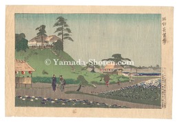 堀切花菖蒲　The Iris Garden at Horikiri