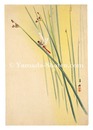 とんぼ（仮題）　Dragonfly (tentative title)