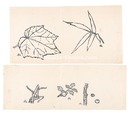 自筆画稿　Drawings