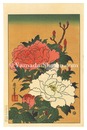 牡丹花【復刻版】　Peonies【Reproduction】