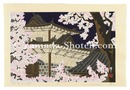 金沢十景 石川門夜桜　Ten Views of Kanazawa / Cherry blossoms at Night at Ishikawa Gate