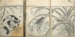 絵本詠物選  揃