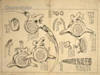 勇魚取絵詞　揃