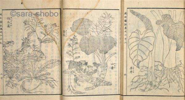 家具雛形図案集　貴重古本 貴重 希少 昭和レトロ 希少本 たのしい刺しゅう図案集 2 雄鶏社