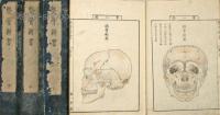 整骨新書　各骨真形図