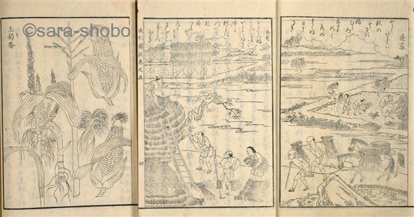 【中古】 鉄板！ジャラコ 愛の戦編/綜合図書/高島龍一 Amazon.co.jp: 戦雲アジアの女王 JKL-005-KEI [DVD] : 高島忠夫