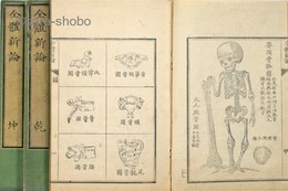 全体新論　揃