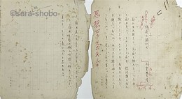 小宮豊隆草稿「瓶花に就いて」