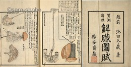 質測窮理　解臓図賦