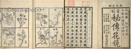 秘伝花鏡　揃