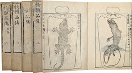 物類品隲　揃