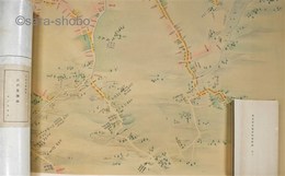 伊能忠敬測量　江戸実測図　揃