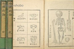 全体新論　揃