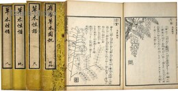 草木性譜・有毒草木図説　揃