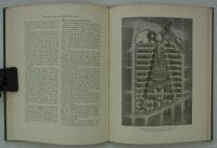 [英]　The Rebuilding of Blighted Areas: A Study of the Neighborhood Unit in Replanning and Plot Assemblage
