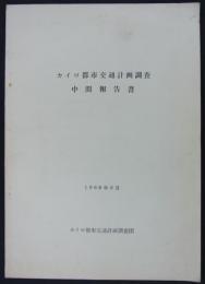 カイロ都市交通計画調査中間報告書　1966年6月