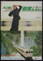 東武鉄道中吊りポスター一括　