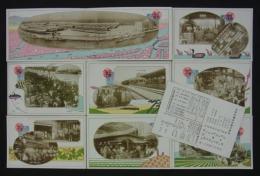 [絵葉書]　大阪市中央卸売市場と市場運送　