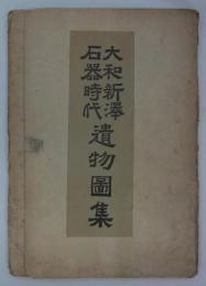 大和新澤石器時代遺物図集　