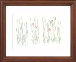 安野光雅限定版画・『本が好き』ナガミヒナゲシ　限定80部之内7番