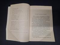 歴史問題論叢(増訂本)