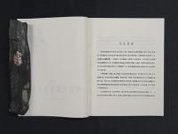 明代民間青花瓷画