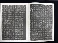 近年新出歴代碑志精選系列　隋楊約墓志　初拓本