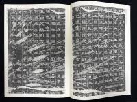 近年新出歴代碑志精選系列　晋趙仲南墓志　初拓本