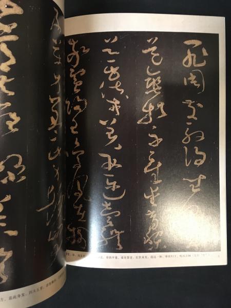 懐素 千字文 蔵真帖 律公帖 歴代名家法帖萃編 王元軍編 古本 中古本 古書籍の通販は 日本の古本屋 日本の古本屋 懐素 千字文 蔵真帖 律公帖 歴代名家法帖萃編 王元軍編 古本 中古本 古書籍の通販は 日本の古本屋 日本の古本屋