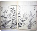 絵本野山草　全5巻5冊