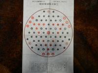 世界人種一覧表