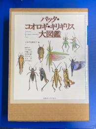 バッタ・コオロギ・キリギリス大図鑑